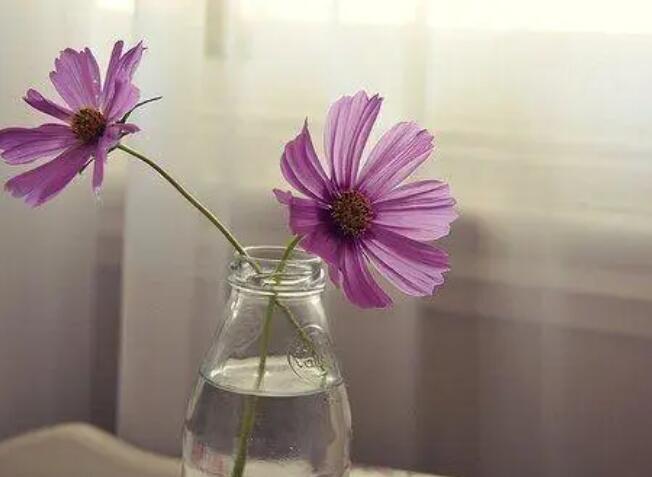 美美心情正能量句子文案