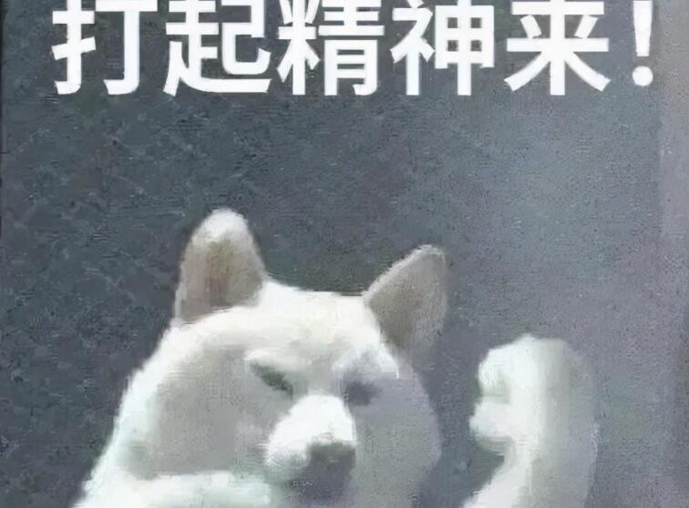 工作累的搞笑句子文案