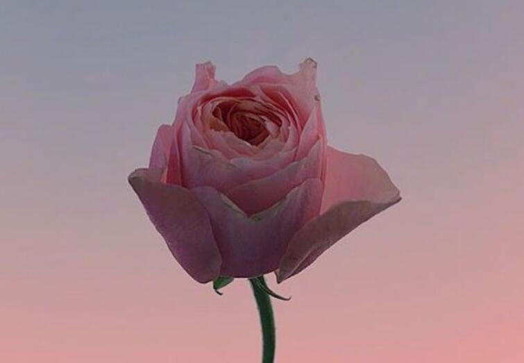 早安的朋友圈说说文案