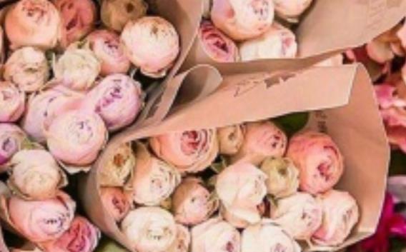 高智商的个性签名