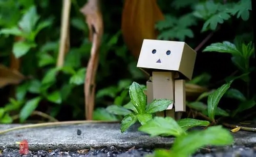 对世界彻底失望的句子文案