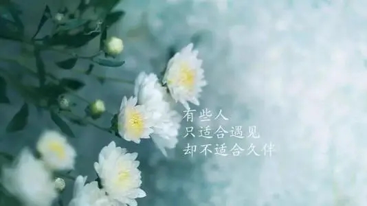 什么是生活经典语录文案