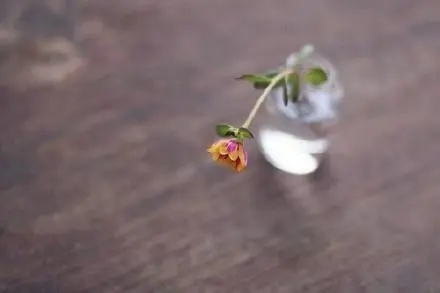 一瞬间释然的句子文案