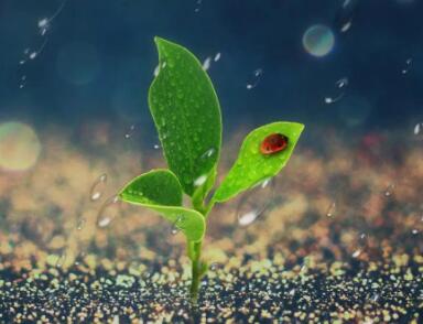 励志简短语录文案10字