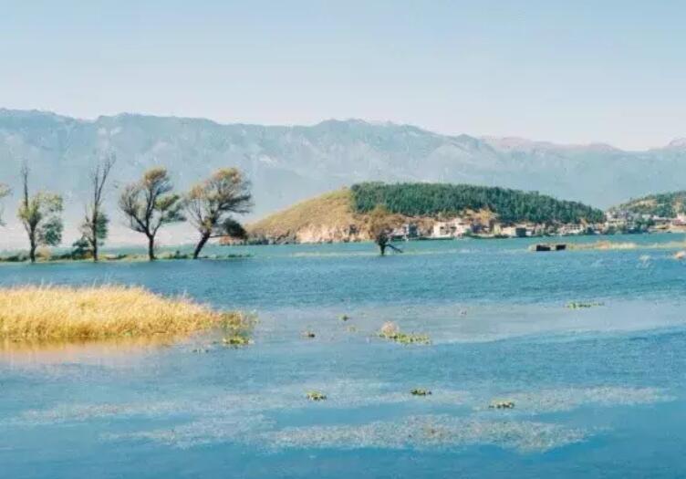 基督徒复活节的说说文案