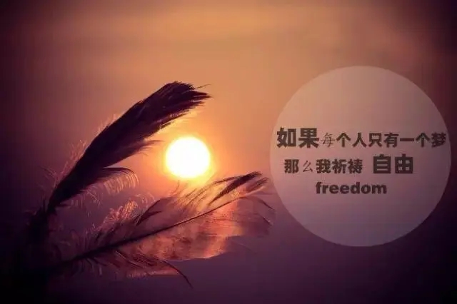 好听的语句唯美的句子文案