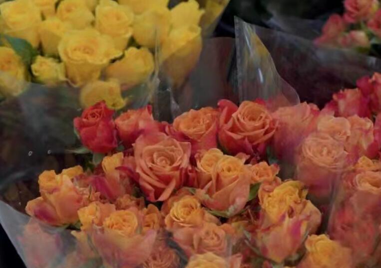 名人名言经典励志简短