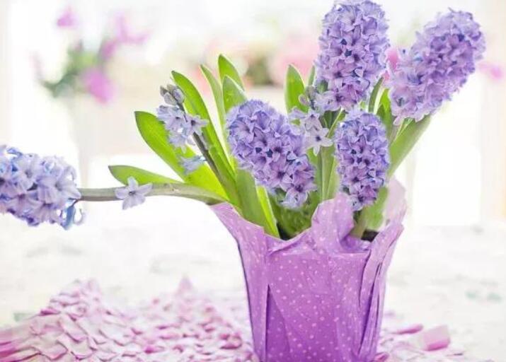 情话文案早晨说的