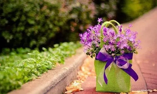 回忆美景的句子文案