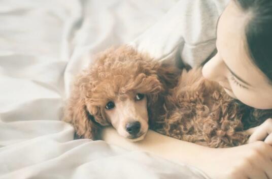 伤了我你会心疼吗说说文案