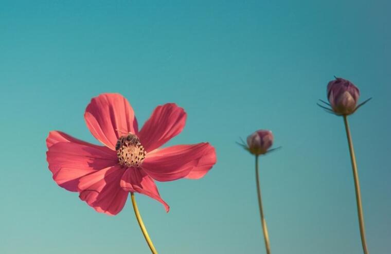 励志的句子文案说说心情