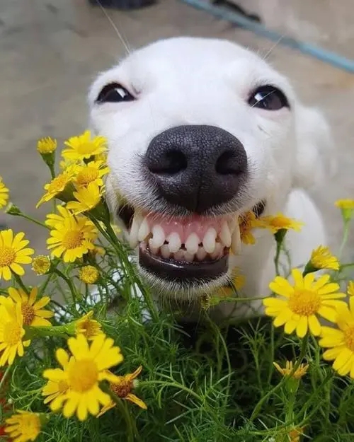 发朋友圈暗示喜欢的女孩