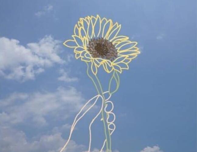 清晨最暖心的问候语