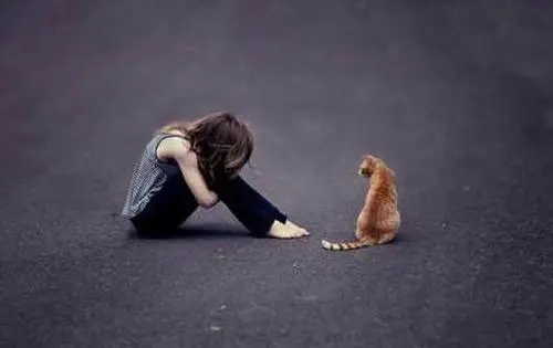 现实残酷又很扎心的句子文案