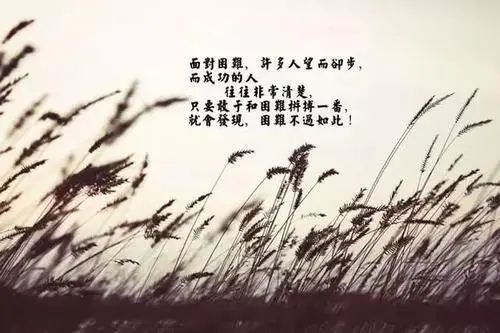 生活做人道理的语句文案