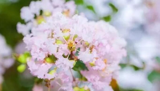 友情幽默的怼人句子文案