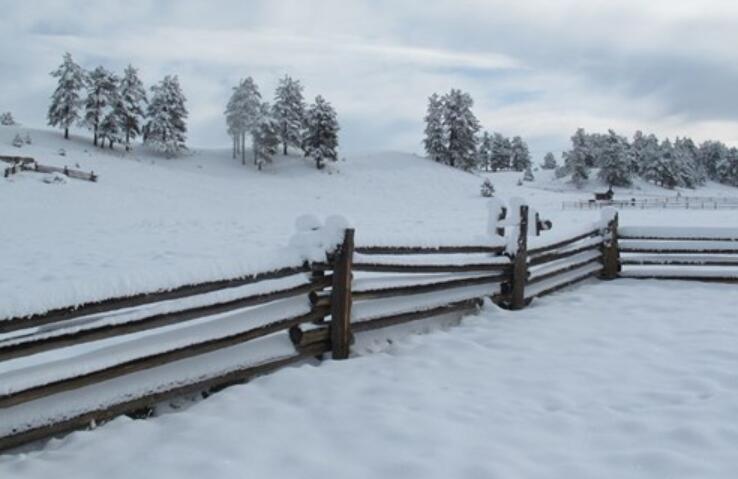 春天大雪的伤感说说文案心情短语