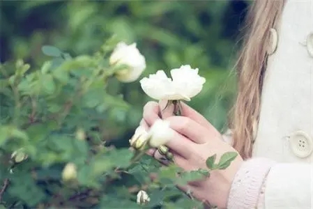 表达有缘的句子文案