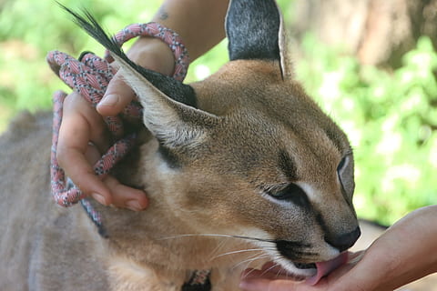 形容爱情平淡长久的诗词