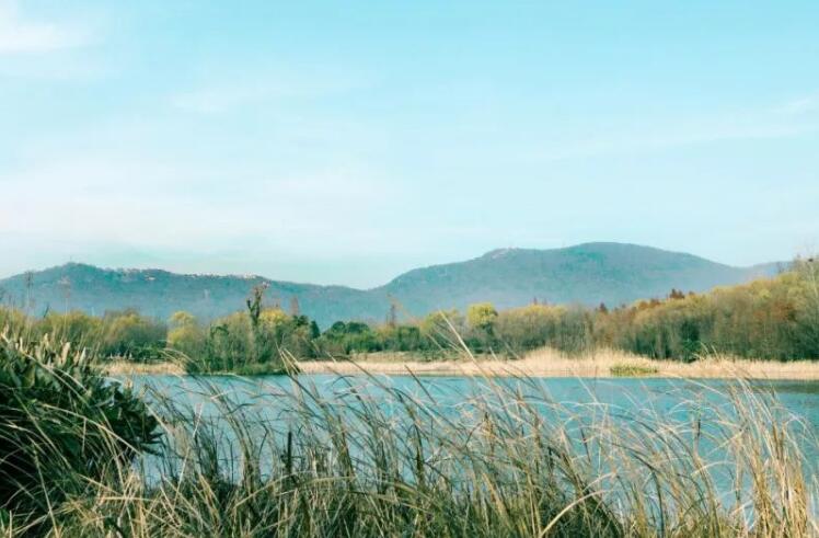 亲人去世的心情诗词