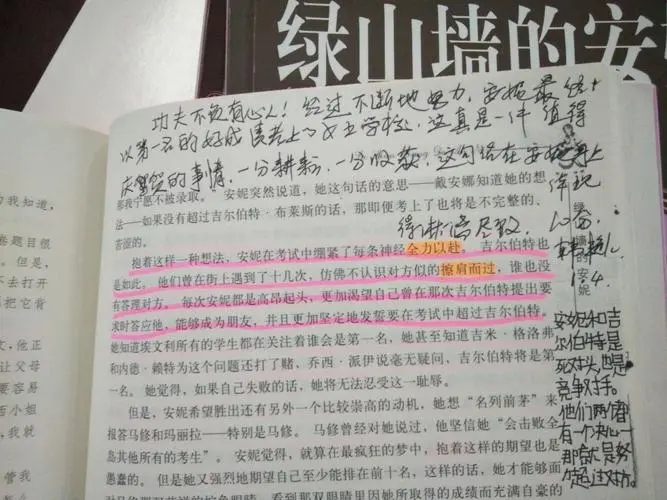 绿山墙的安妮读书笔记