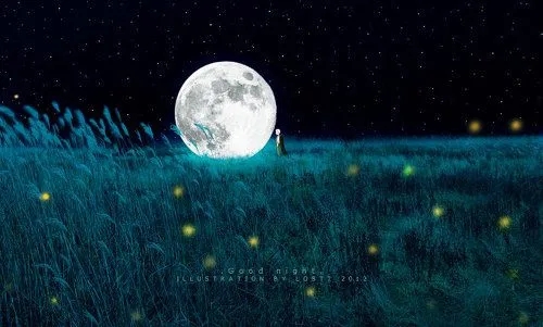 关于月亮的文案简短