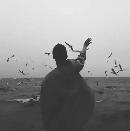 男生自嘲的伤感语录文案