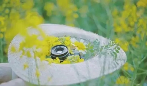 文艺的句子文案