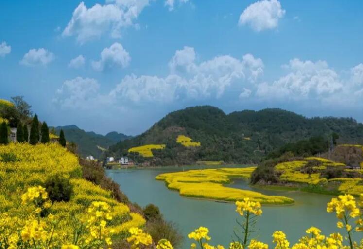 清明表达思念的诗句文案