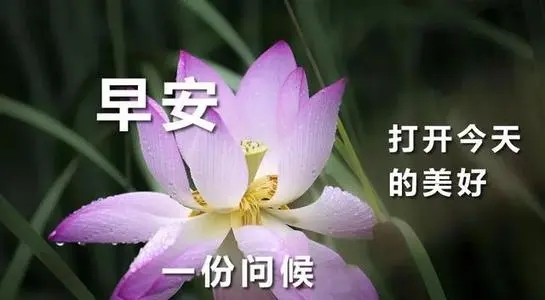 2024年4月29号早安心语