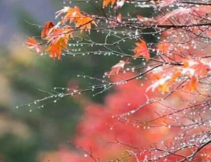 形容十一月的词语