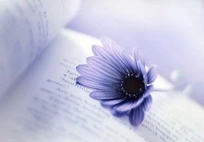 回到最初的美好的句子文案