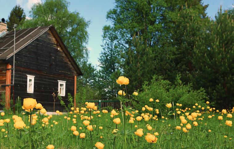 描写山野美景的诗句文案