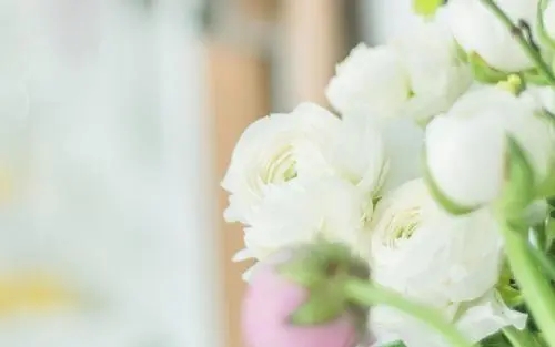 向往生活的句子文案正能量