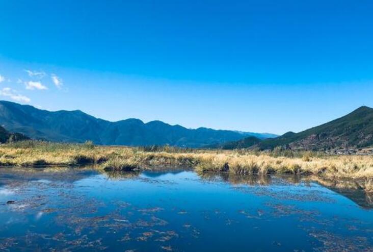 早安现实励志语录文案