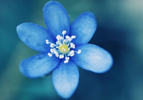 含有颜色的句子文案