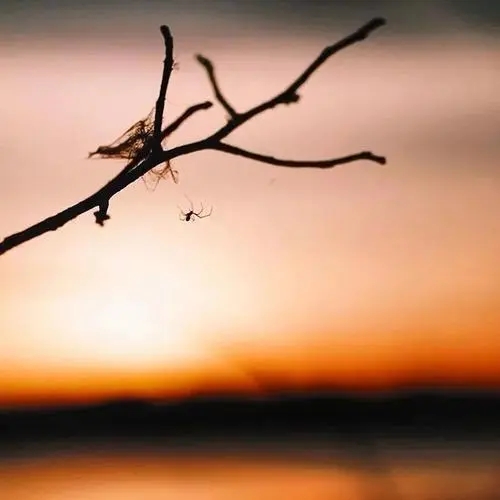 人间充满爱的句子文案