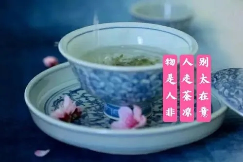 形容物是人非的诗句文案