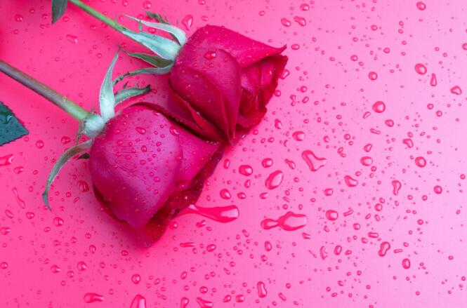 相守一生的句子文案