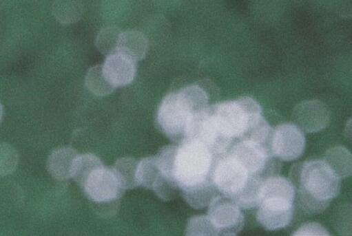 夏天的小文艺句子文案