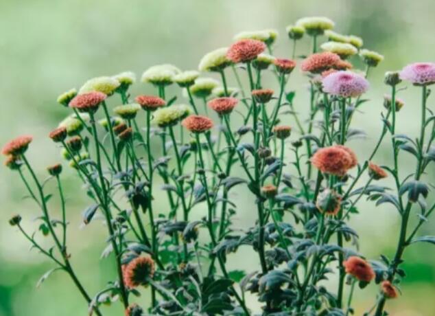 不想让对方为难的句子文案