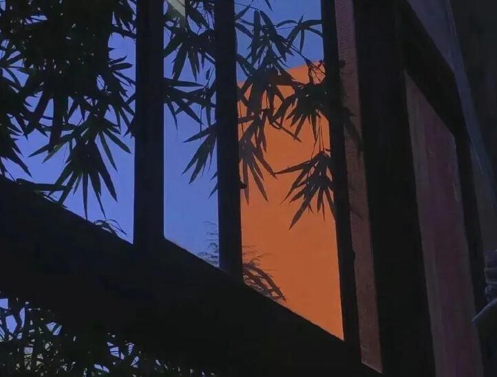 关于真实的句子文案