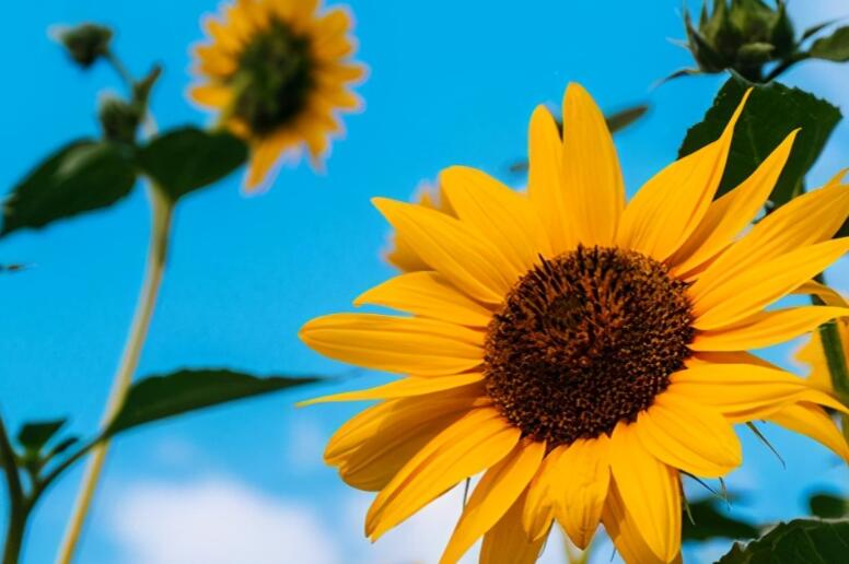 形容自己老了的幽默句子文案