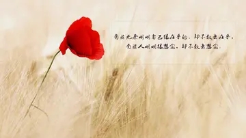 生活被迫无奈的说说文案