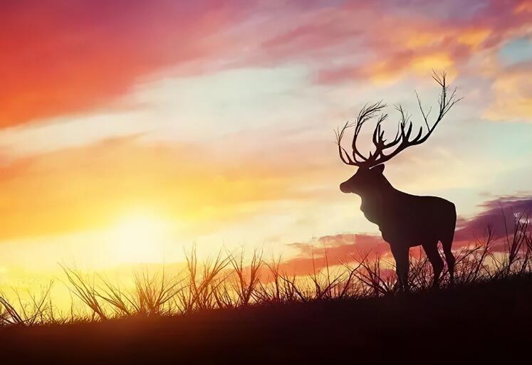 微语录文案精选经典语录文案励志