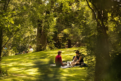 甜蜜爱情短句10个字内