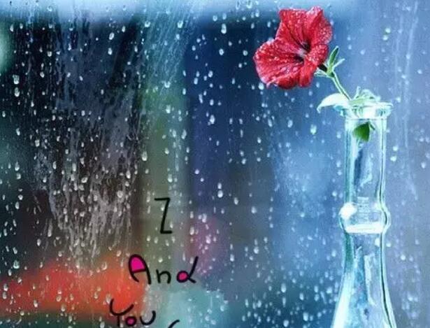 淡雅的签名8个字