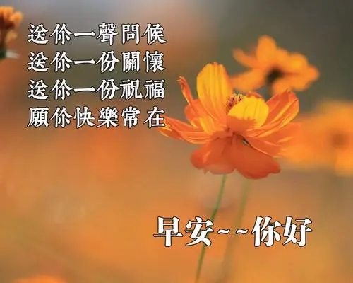2024全新的早安问候句子文案