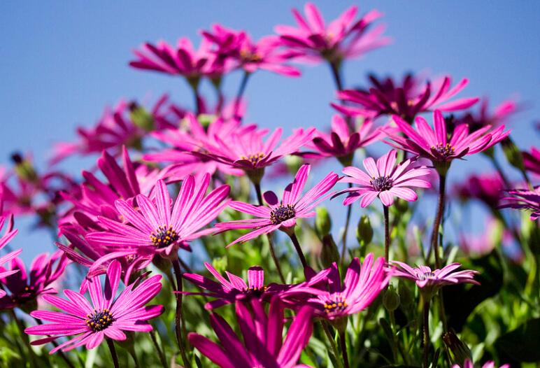 积极运动的优美句子文案