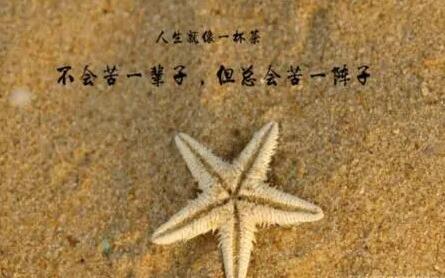 成熟的句子文案说说心情短语